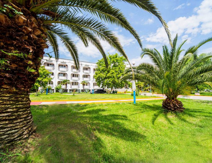 Внешний вид и территория - Пансионат «Литфонд»