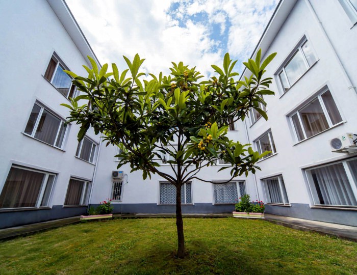 Внешний вид и территория - Пансионат «Литфонд»