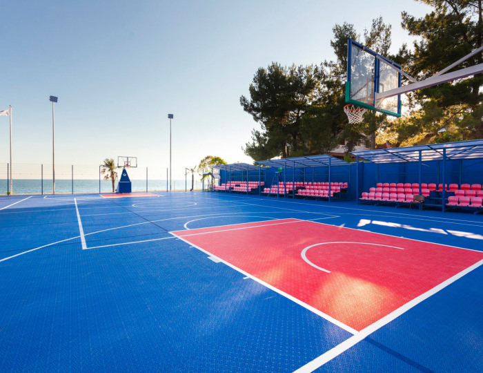 Баскетбольная и футбольная площадки - Пансионат «Литфонд»